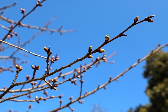 a0242438_18294495.jpg