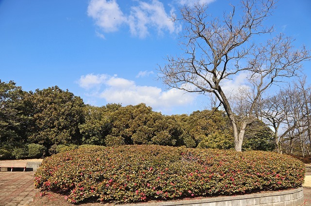 a0242438_18295147.jpg