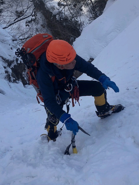 e0371039_11592294.gif