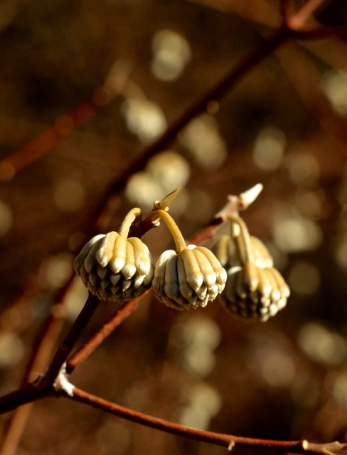a0248459_15113999.jpg