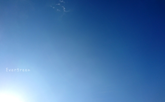 d0362666_22192279.jpg