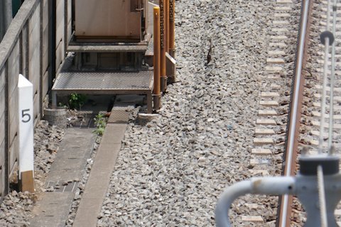 a0121671_10250754.jpg