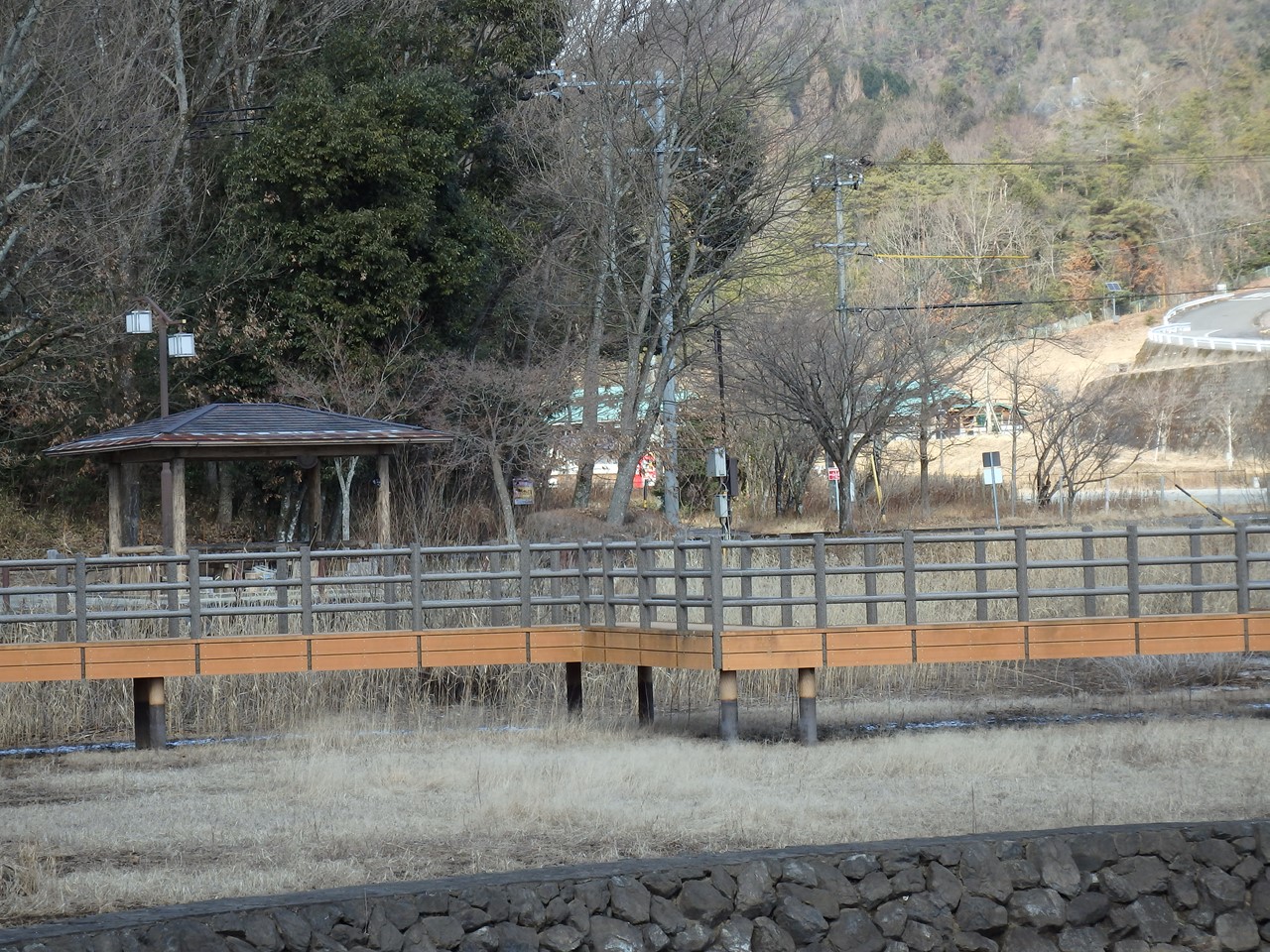 『瘤白鳥(コブハクチョウ)と小鴨(コガモ)のいる中池の風景～』_d0054276_19282047.jpg