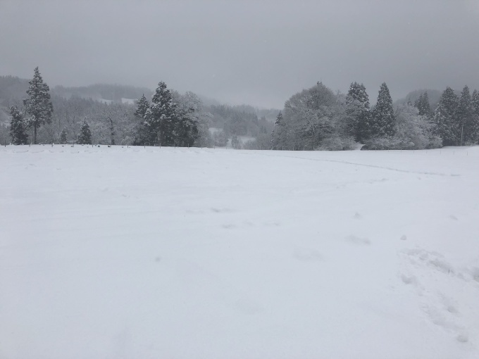 ごんぞ飛ばしはいよいよ明日。_d0182179_15261172.jpg