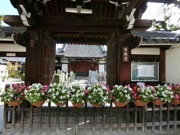 a0045381_13044768.jpg