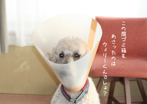 a0216583_12544763.png