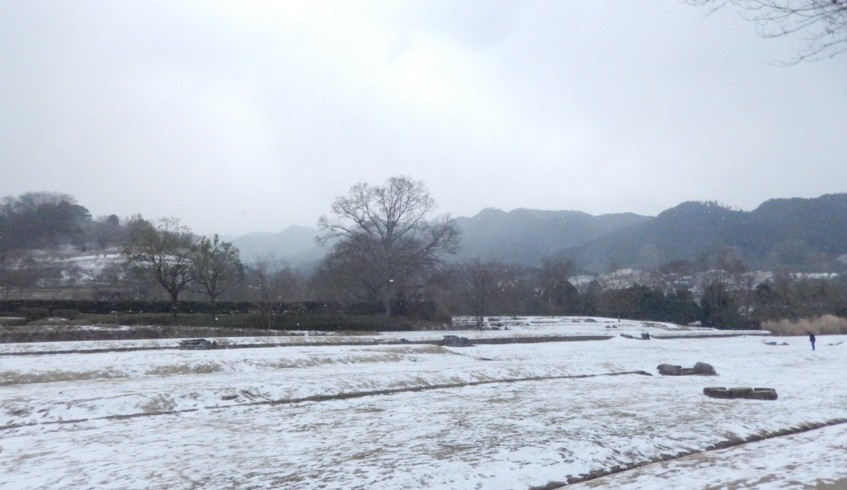 c0144185_1647156.jpg