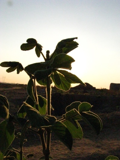 a0184797_01000268.jpg