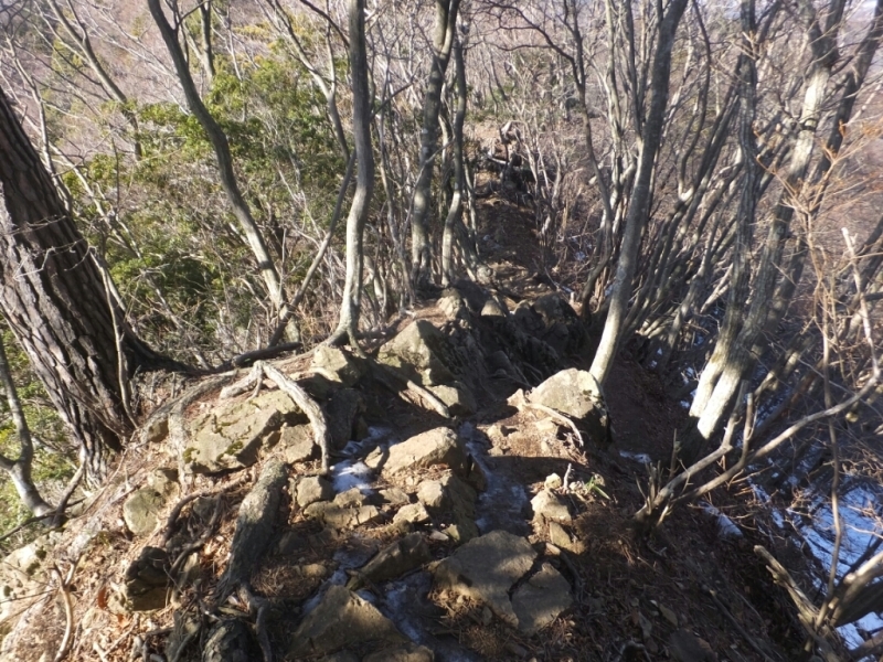 a0372902_19453335.jpg