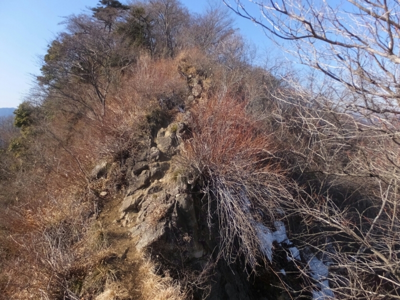 a0372902_19455312.jpg