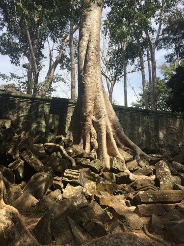 カンボジア・④タ・プロム遺跡_c0073802_17024762.jpg