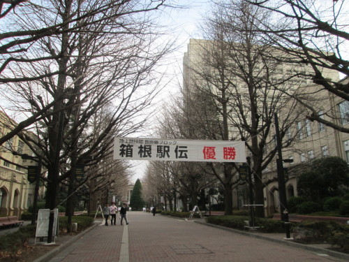 c0049409_16314024.jpg