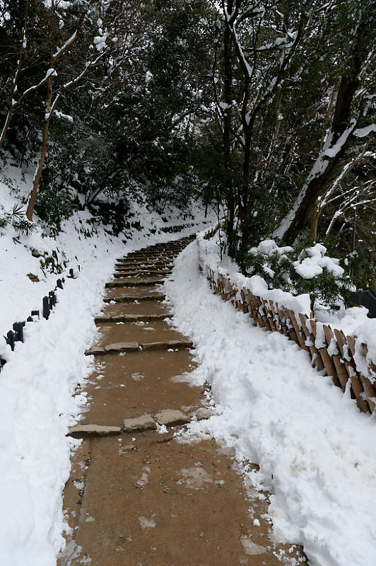 雪の彦根城　其の一_f0032011_15192357.jpg