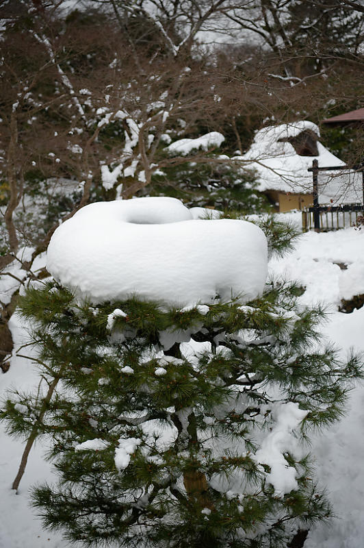 雪の玄宮園_f0032011_17251245.jpg