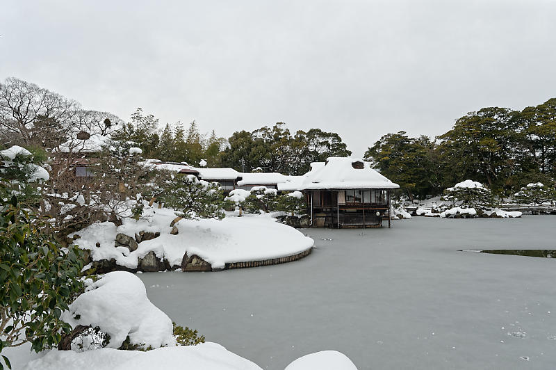 雪の玄宮園_f0032011_17354988.jpg