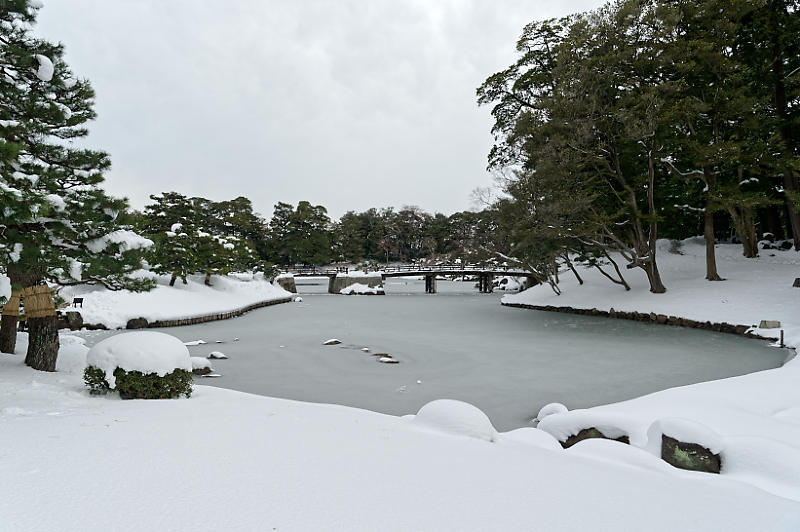 雪の玄宮園_f0032011_17354996.jpg