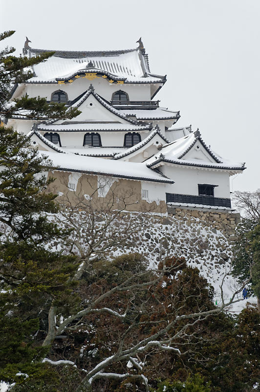 雪の玄宮園_f0032011_17400617.jpg