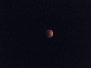 e0365614_18315213.jpg