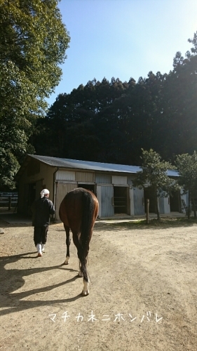 b0187620_17431708.jpg