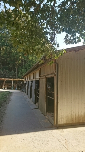 b0187620_17444904.jpg