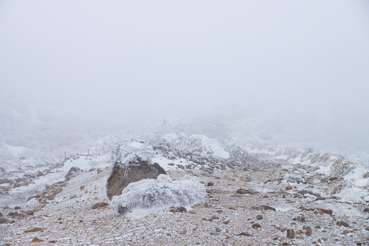 e0346322_17254340.jpg