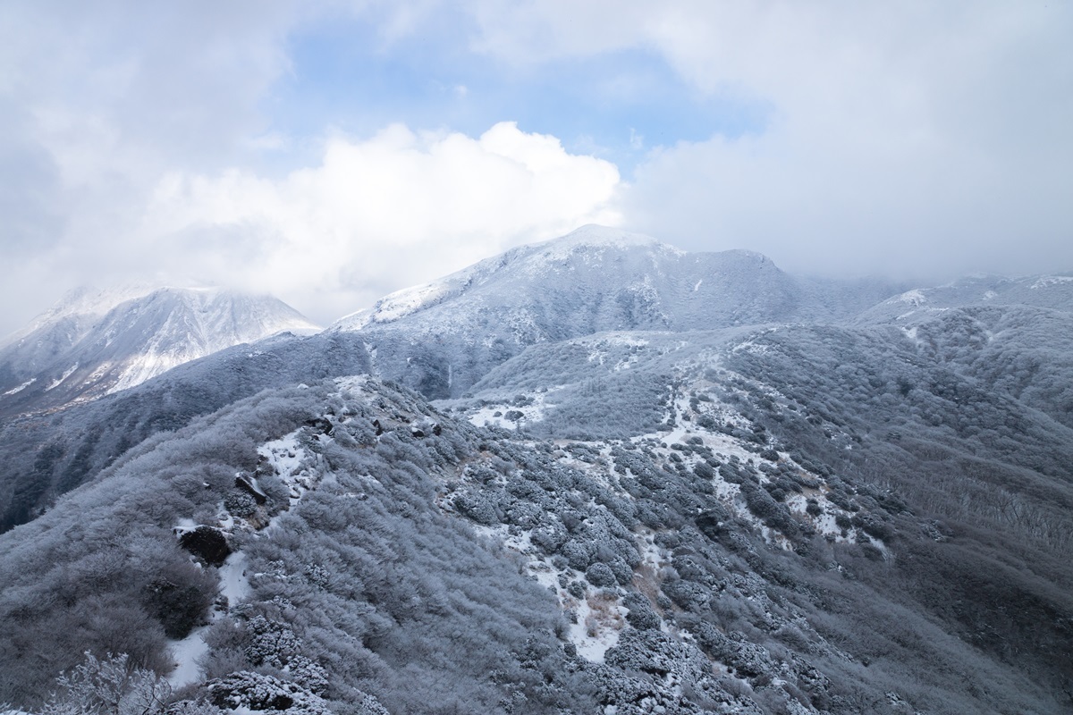 e0346322_17262025.jpg