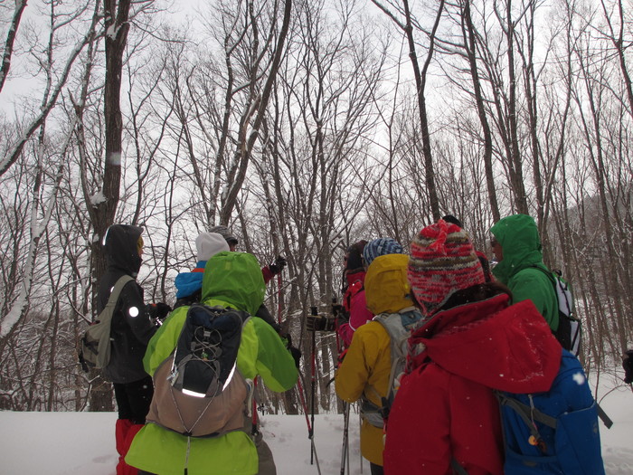 雪上トレッキング（2018.2.18）_b0189727_13405482.jpg