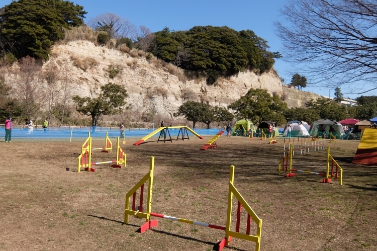 f0363628_16050024.jpg