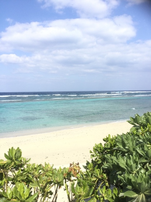 c0103830_20474141.jpeg