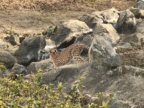 動物園に    妹_d0146230_17121784.jpeg