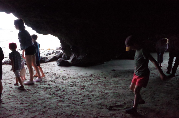 ニュージーランド旅行5日目 その3～sumner beach サムナービーチを歩く_a0287336_16171589.jpg