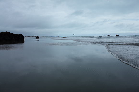 ニュージーランド旅行5日目 その3～sumner beach サムナービーチを歩く_a0287336_16221012.jpg