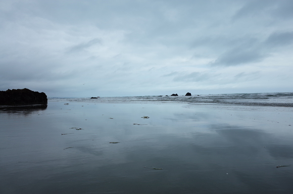 ニュージーランド旅行5日目 その3～sumner beach サムナービーチを歩く_a0287336_16232487.jpg