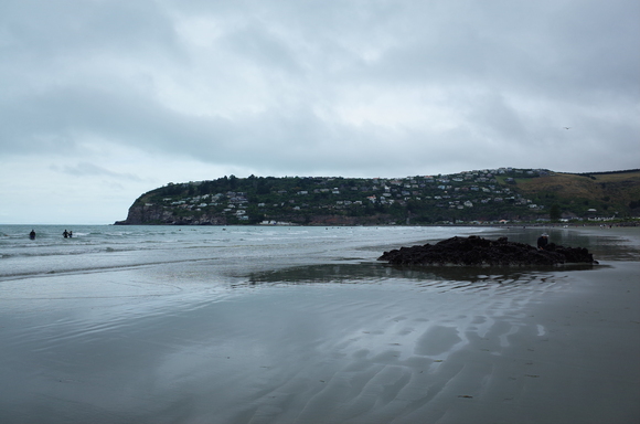 ニュージーランド旅行5日目 その3～sumner beach サムナービーチを歩く_a0287336_16244429.jpg