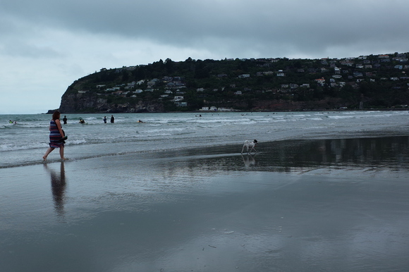 ニュージーランド旅行5日目 その3～sumner beach サムナービーチを歩く_a0287336_16252970.jpg