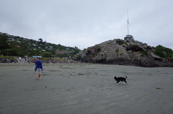 ニュージーランド旅行5日目 その3～sumner beach サムナービーチを歩く_a0287336_16262427.jpg