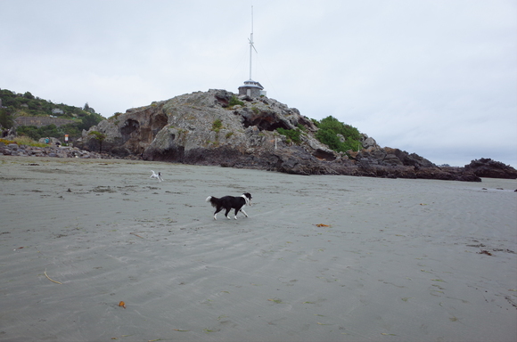 ニュージーランド旅行5日目 その3～sumner beach サムナービーチを歩く_a0287336_1626823.jpg