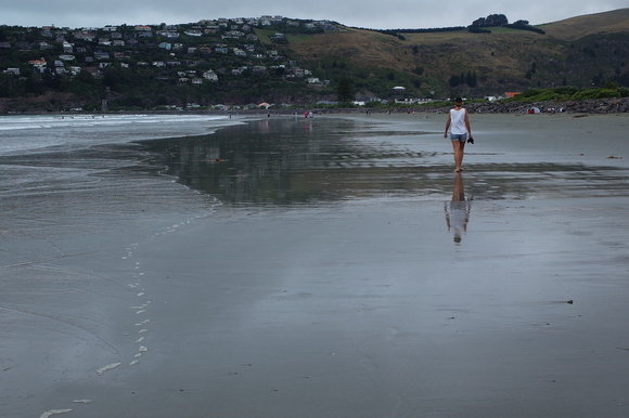 ニュージーランド旅行5日目 その3～sumner beach サムナービーチを歩く_a0287336_16283366.jpg