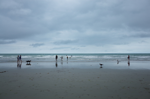 ニュージーランド旅行5日目 その3～sumner beach サムナービーチを歩く_a0287336_1631896.jpg