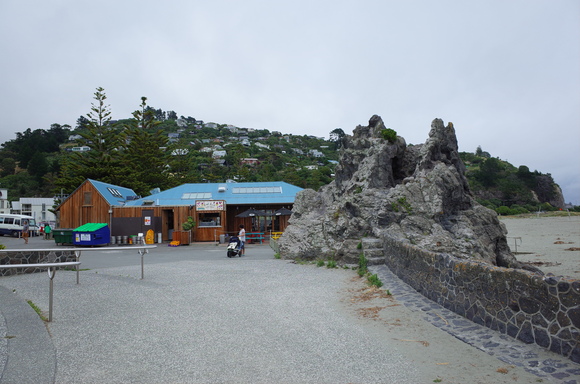 ニュージーランド旅行5日目 その3～sumner beach サムナービーチを歩く_a0287336_16321038.jpg