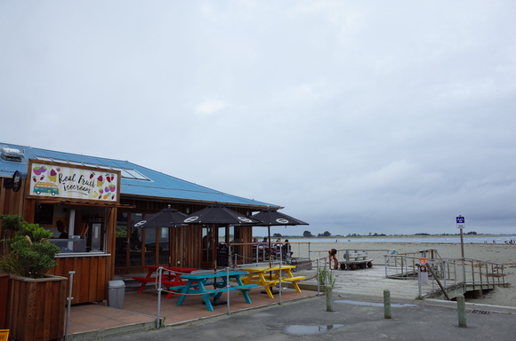 ニュージーランド旅行5日目 その3～sumner beach サムナービーチを歩く_a0287336_16322539.jpg