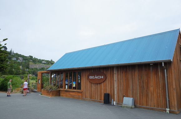 ニュージーランド旅行5日目 その3～sumner beach サムナービーチを歩く_a0287336_1632598.jpg