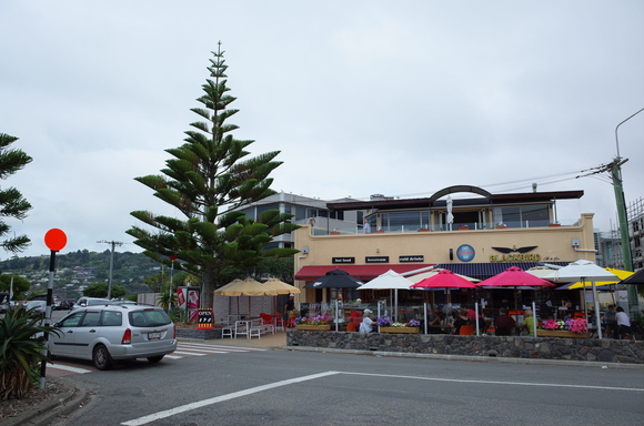 ニュージーランド旅行5日目 その3～sumner beach サムナービーチを歩く_a0287336_16334441.jpg