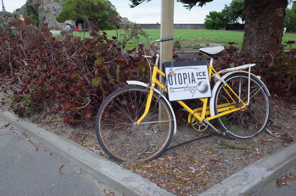 ニュージーランド旅行5日目 その3～sumner beach サムナービーチを歩く_a0287336_16361726.jpg