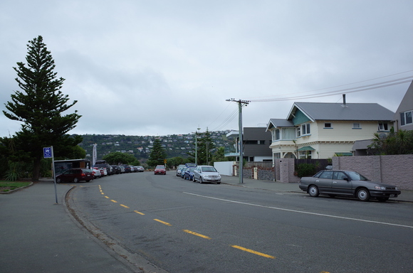 ニュージーランド旅行5日目 その3～sumner beach サムナービーチを歩く_a0287336_16373338.jpg