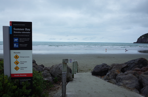 ニュージーランド旅行5日目 その3～sumner beach サムナービーチを歩く_a0287336_16395739.jpg