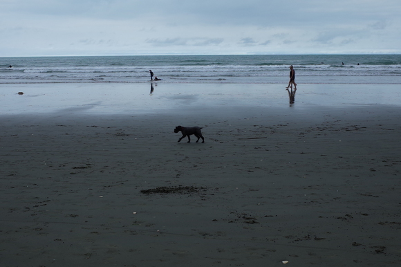 ニュージーランド旅行5日目 その3～sumner beach サムナービーチを歩く_a0287336_16451450.jpg