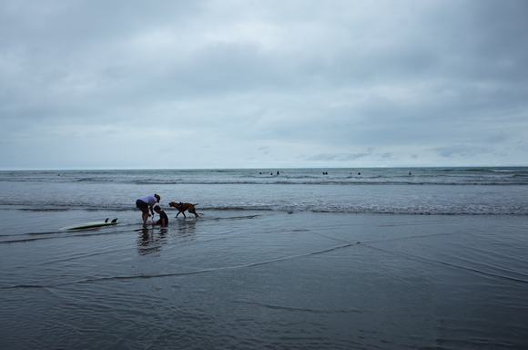 ニュージーランド旅行5日目 その3～sumner beach サムナービーチを歩く_a0287336_16494654.jpg