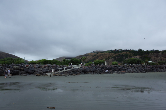 ニュージーランド旅行5日目 その3～sumner beach サムナービーチを歩く_a0287336_16504859.jpg