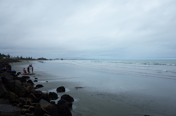 ニュージーランド旅行5日目 その3～sumner beach サムナービーチを歩く_a0287336_16513078.jpg